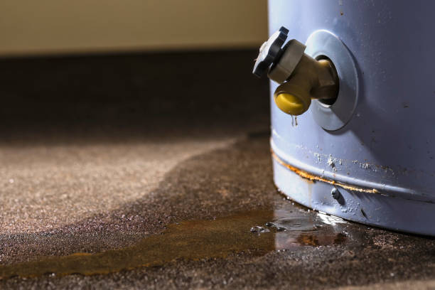 Best Water damage mitigation services  in Dyersville, IA