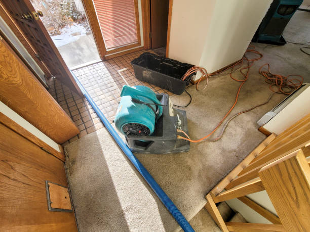 Best 24-hour water damage restoration  in Dyersville, IA