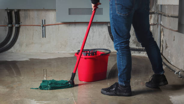 Best Water damage contractors near me  in Dyersville, IA