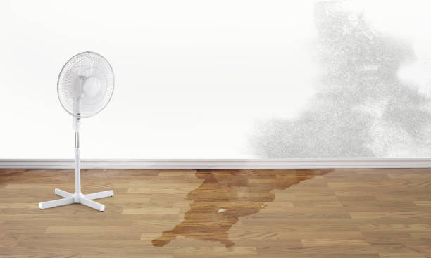 Best Emergency water damage restoration  in Dyersville, IA