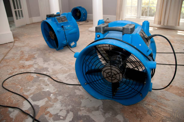 Best Basement water damage restoration  in Dyersville, IA