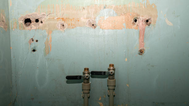 Best Professional water damage repair  in Dyersville, IA