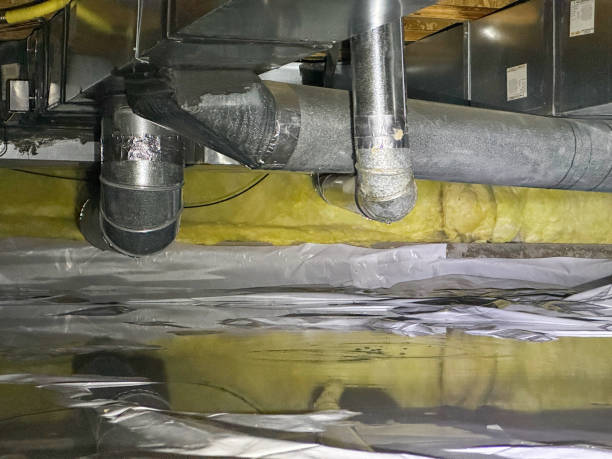 Best Local water damage restoration  in Dyersville, IA