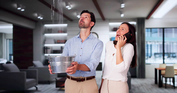 Best Water damage restoration cost  in Dyersville, IA