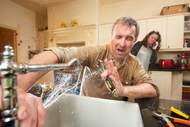 Best Ceiling water damage repair  in Dyersville, IA